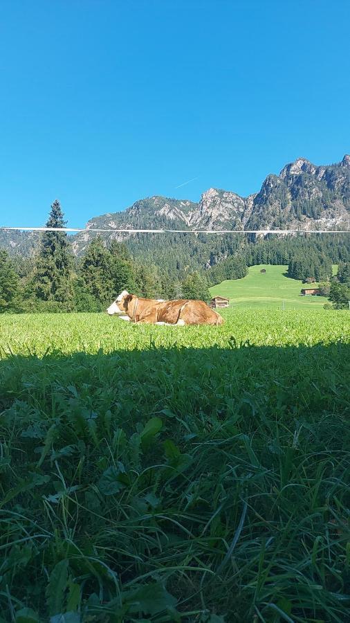 Haus Theresia Alpbach Eksteriør bilde