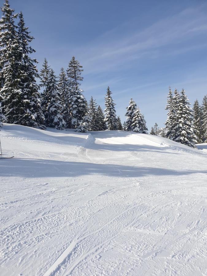Haus Theresia Alpbach Eksteriør bilde