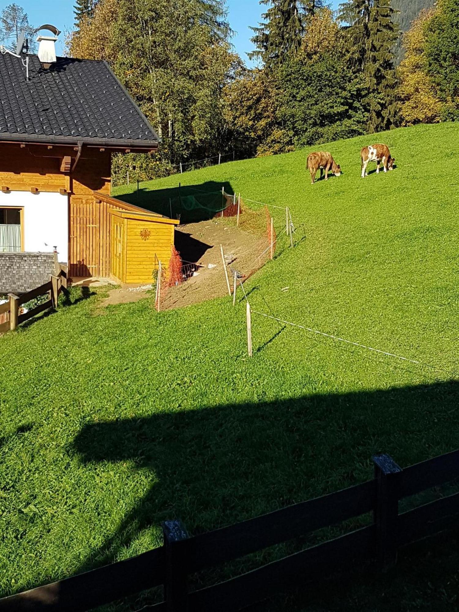Haus Theresia Alpbach Eksteriør bilde