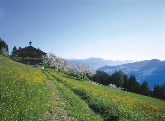 Haus Theresia Alpbach Eksteriør bilde