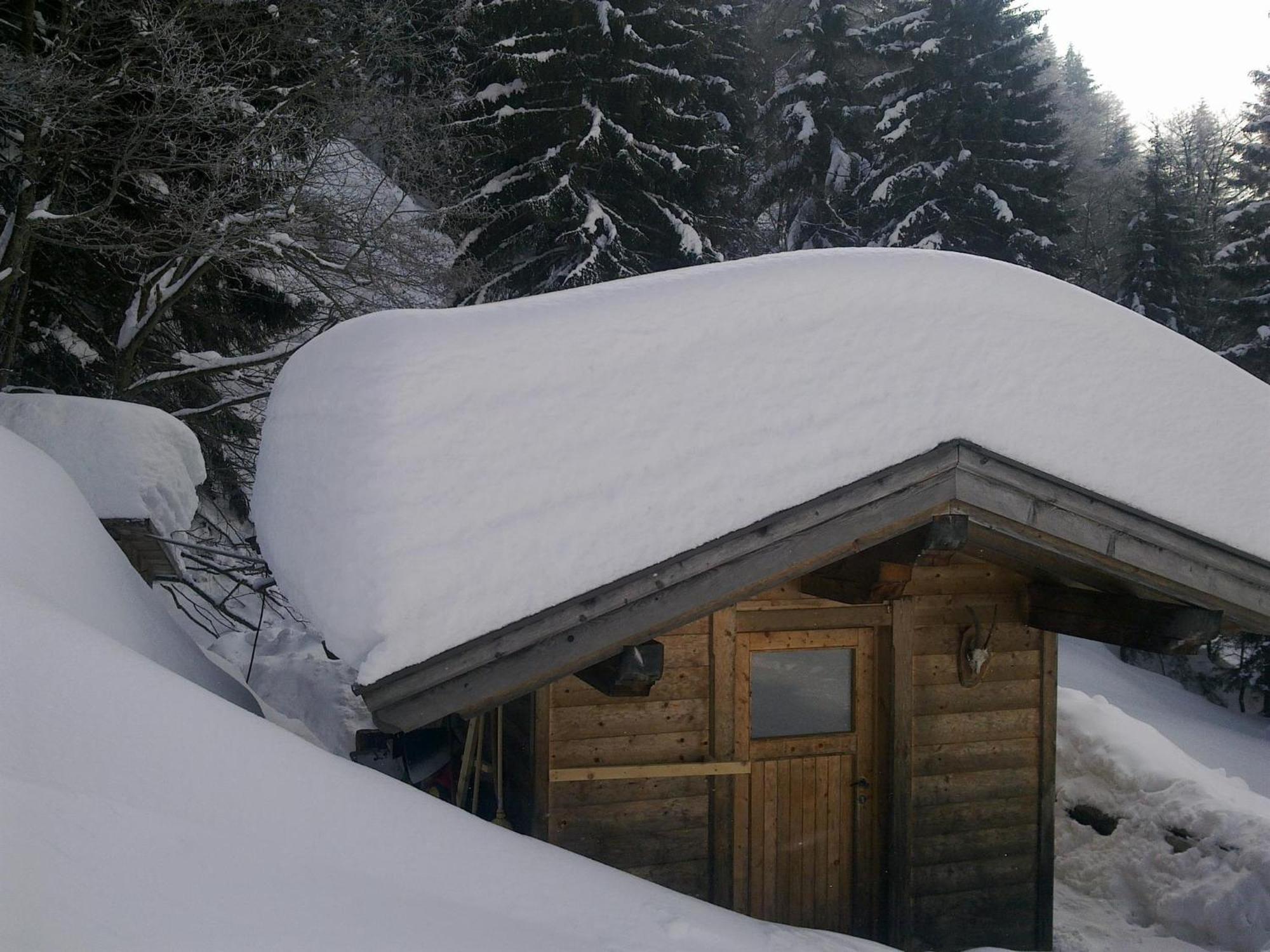 Haus Theresia Alpbach Eksteriør bilde