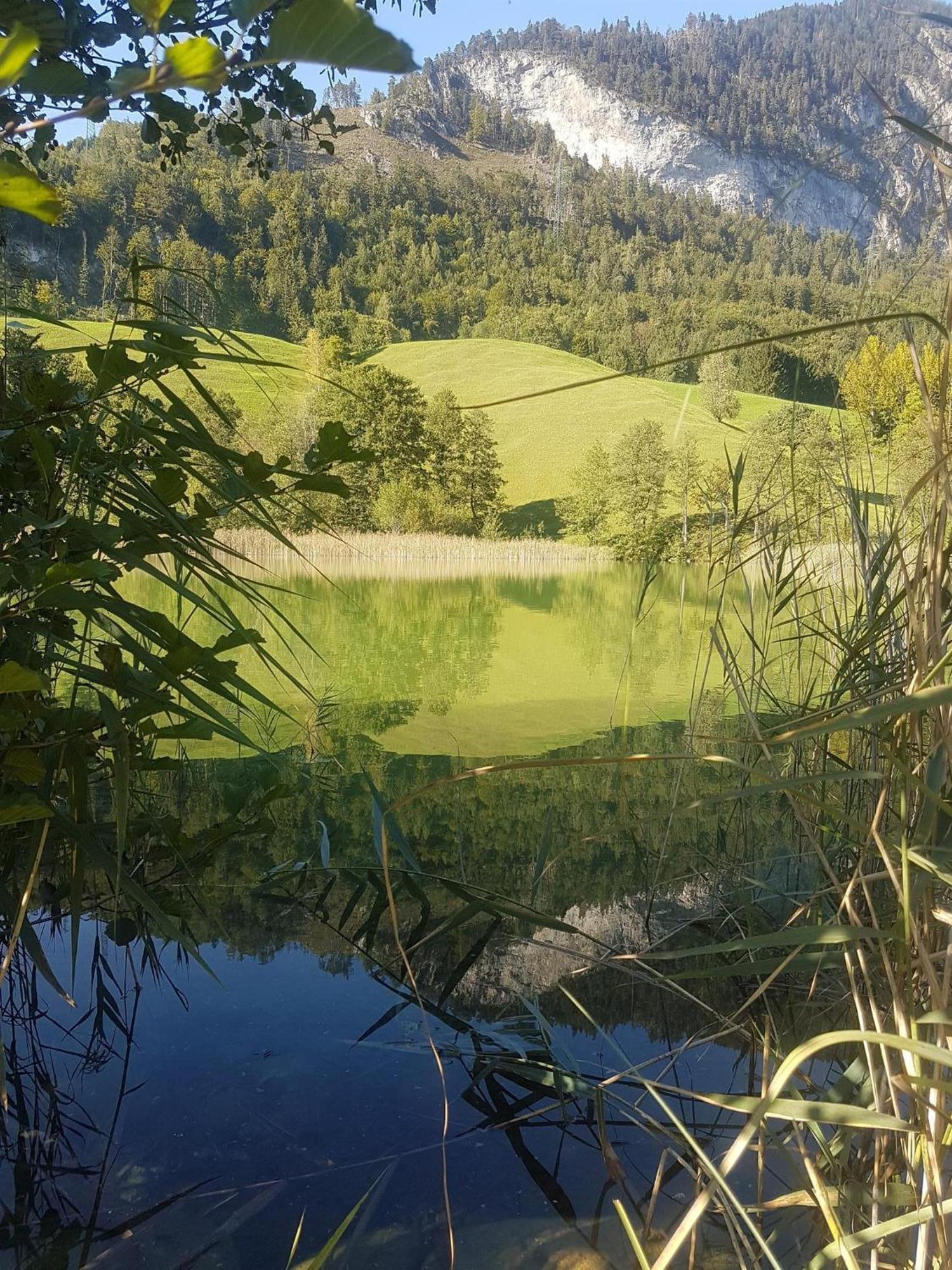 Haus Theresia Alpbach Eksteriør bilde