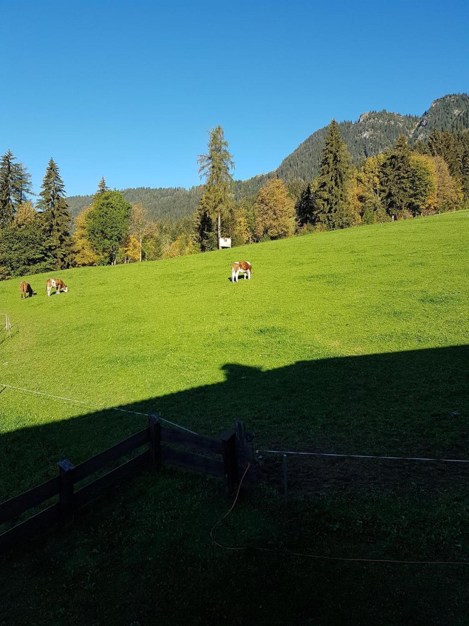 Haus Theresia Alpbach Eksteriør bilde